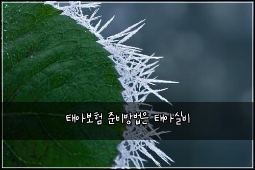 태아보험 준비방법은  태아실비