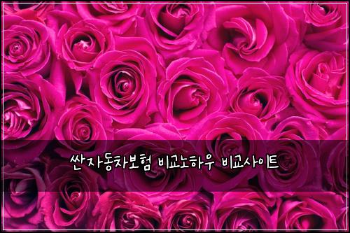 싼자동차보험 비교노하우  비교사이트