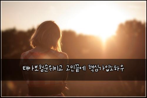 태아보험순위비교 고민끝에 핵심가입노하우