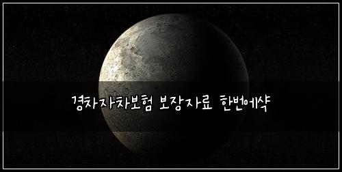 경차자차보험 보장자료  한번에샥