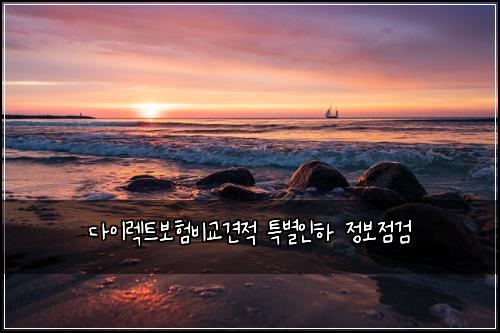 다이렉트보험비교견적 특별인하 정보점검