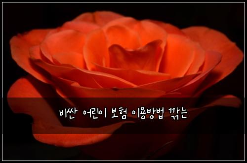 비싼 어린이 보험 이용방법  깎는