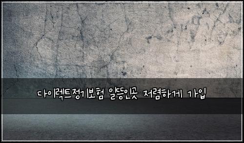 다이렉트정기보험 일뜽인곳  저렴하게 가입