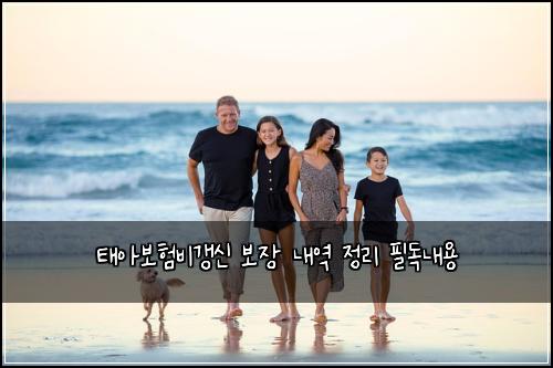 태아보험비갱신 보장 내역 정리 필독내용
