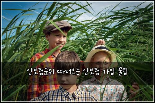 암보험순위 따져보는 암보험 가입 꿀팁