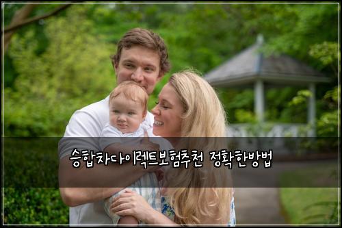 승합차다이렉트보험추천 정확한방법
