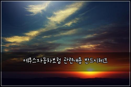 에쿠스자동차보험 관련내용  반드시체크