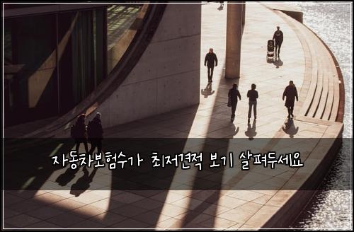 자동차보험수가 최저견적 보기 살펴두세요
