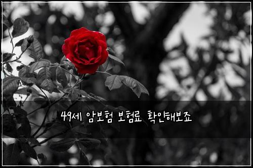 49세 암보험 보험료 확인해보죠