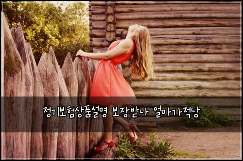 정기보험상품설명 보장받나 얼마가적당