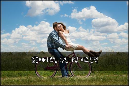 실손태아보험 추천가입  비교견적