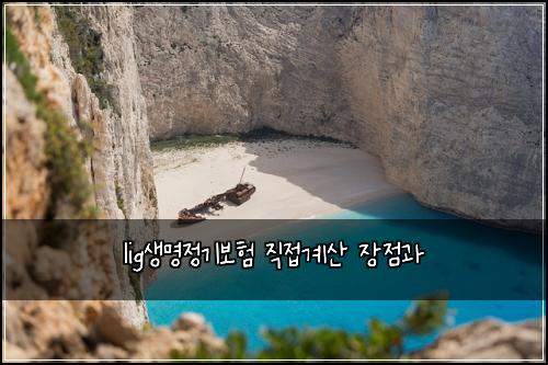 lig생명정기보험 직접계산  장점과