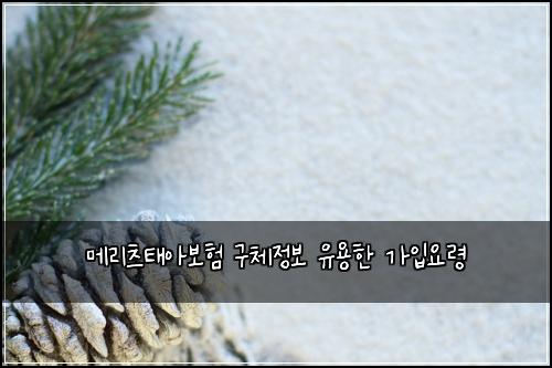 λ©λ¦¬μΈ νμ보ν ꡬ체μ 보 μ μ©ν κ°μ
μλ Ή
