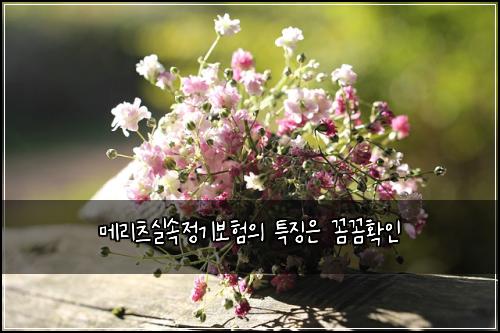 메리츠실속정기보험의 특징은 꼼꼼확인