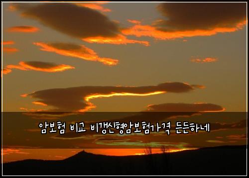 암보험 비교 비갱신형암보험가격 든든하네