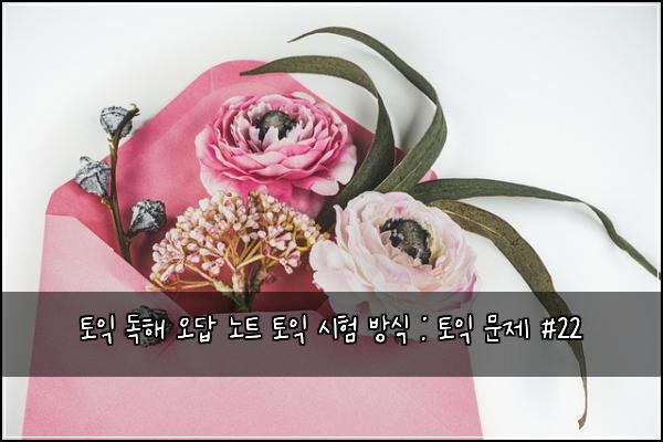 토익 독해 오답 노트 토익 시험 방식 : 토익 문제 #22