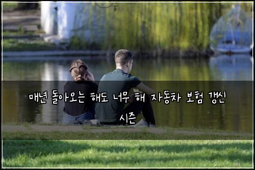 매년 돌아오는 해도 너무 해 자동차 보험 갱신 시즌
