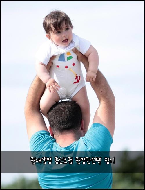 현대생명 종신보험 현명한선택  정기