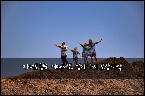 자녀보험료 어떠세요 영아사시 보상파악