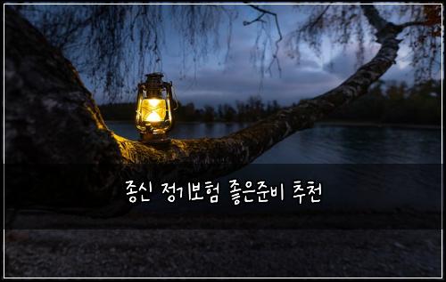 종신 정기보험 좋은준비  추천