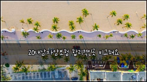 20대남자암보험 합리적인곳  비교해요