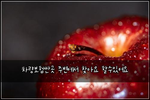 ์ฐจ๋๋ณดํ์ผ๊ณณ ์ฃผ๋ณ์์ ์ฐพ์์ ํ ์์์ด์
