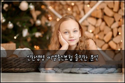 신한생명 씨엘종신보험 솔직한 분석