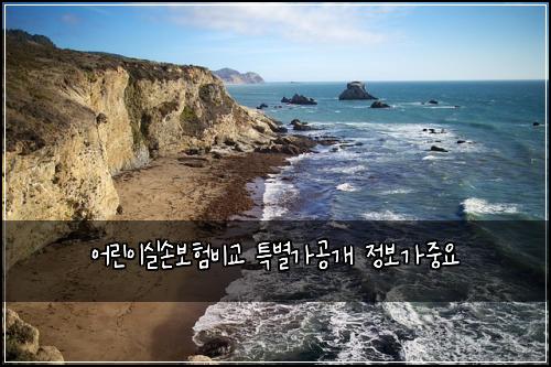 어린이실손보험비교 특별가공개 정보가중요