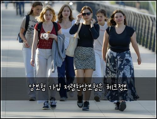 μ보ν κ°μ
μ λ ΄νμ보νμ 체ν¬μ 보