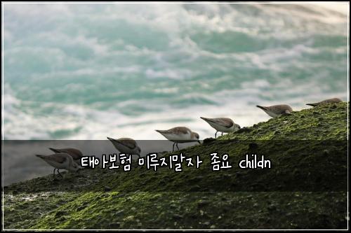 태아보험 미루지말자  좀요 childn