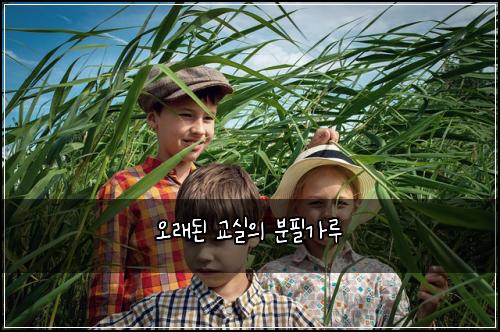 오래된 교실의 분필가루