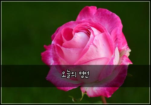 오늘의 명언