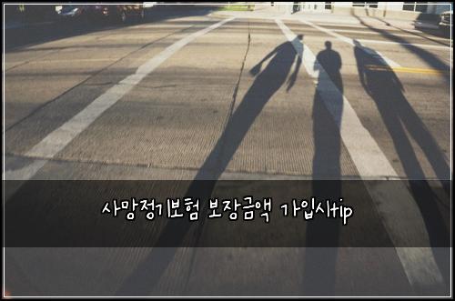 사망정기보험 보장금액  가입시tip