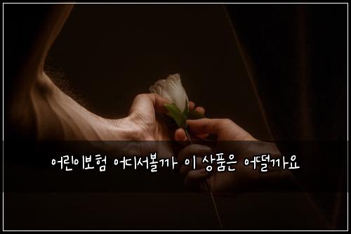 어린이보험 어디서볼까  이 상품은 어떨까요