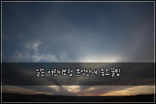 실손 어린이보험 분석안내  중요꿀팁