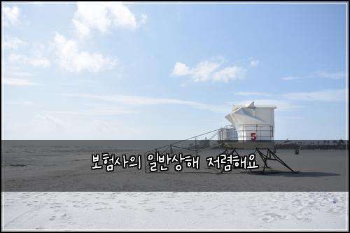๋ณดํ์ฌ์ ์ผ๋ฐ์ํด ์ ๋ ดํด์