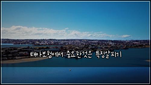 태아보험에서 중요한것은 특징살피기