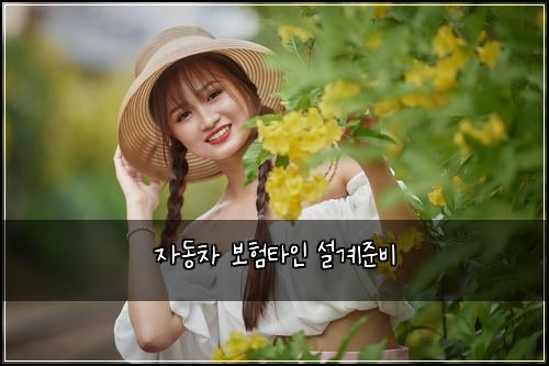 자동차 보험타인 설계준비