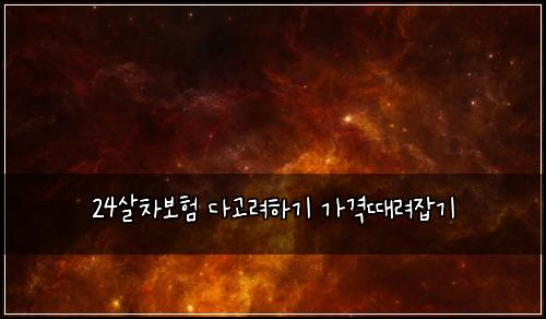 24살차보험 다고려하기  가격때려잡기