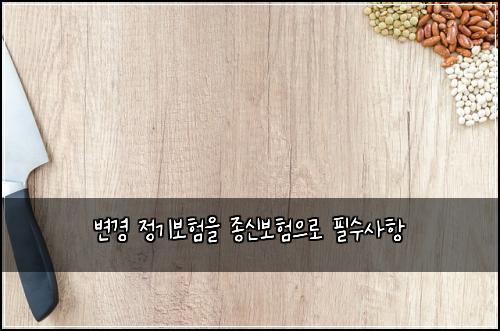 변경 정기보험을 종신보험으로 필수사항