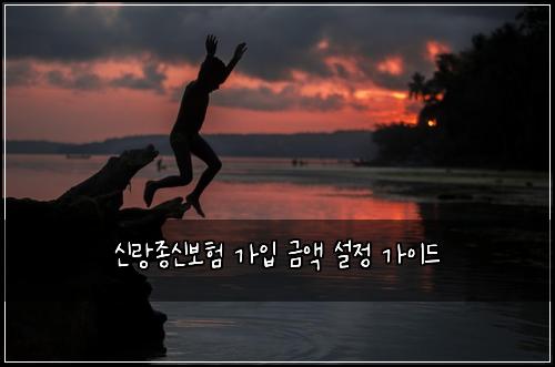 신랑종신보험 가입 금액 설정 가이드