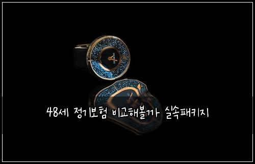 48세 정기보험 비교해볼까  실속패키지