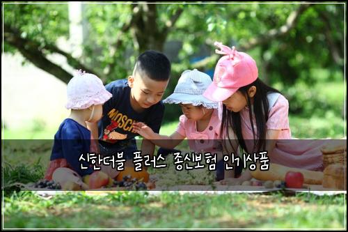 신한더블 플러스 종신보험 인기상품 