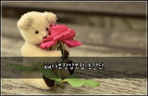 aia다보장암보험 초간단 
