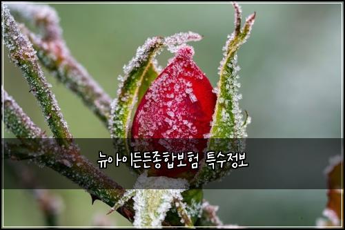 뉴아이든든종합보험 특수정보 