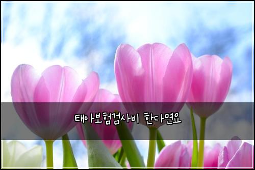 태아보험검사비 한다면요