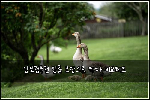 암보험추천 맞춤 보장으로 하자 비교체크