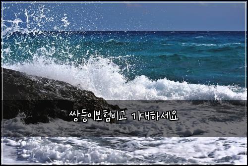 ์๋ฅ์ด๋ณดํ๋น๊ต ๊ธฐ๋ํ์ธ์