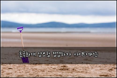 흥국화재 암보험 점검하자  사이트에서는