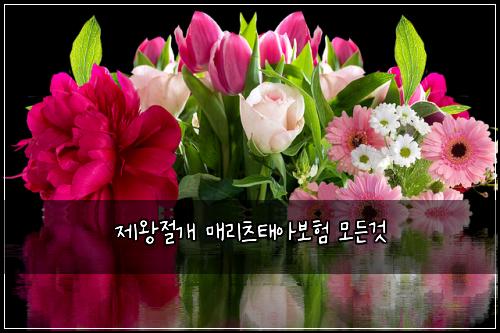 ์ ์์ ๊ฐ ๋งค๋ฆฌ์ธ ํ์๋ณดํ ๋ชจ๋ ๊ฒ